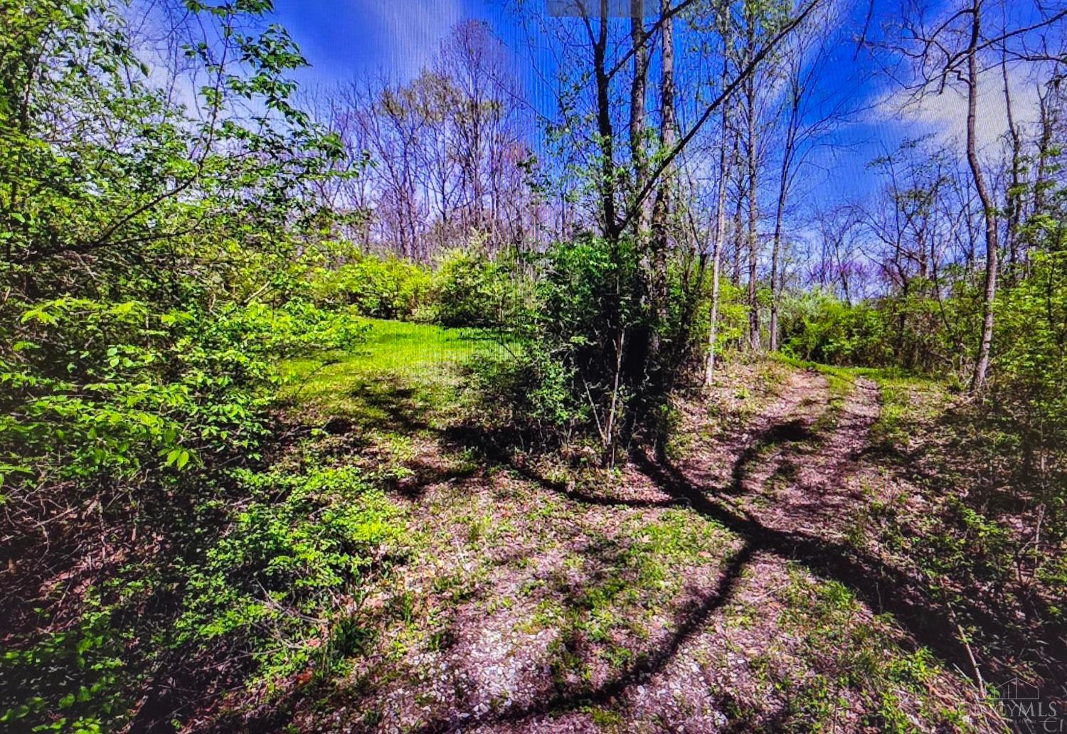 Carolina Trace Road Property Photo 6