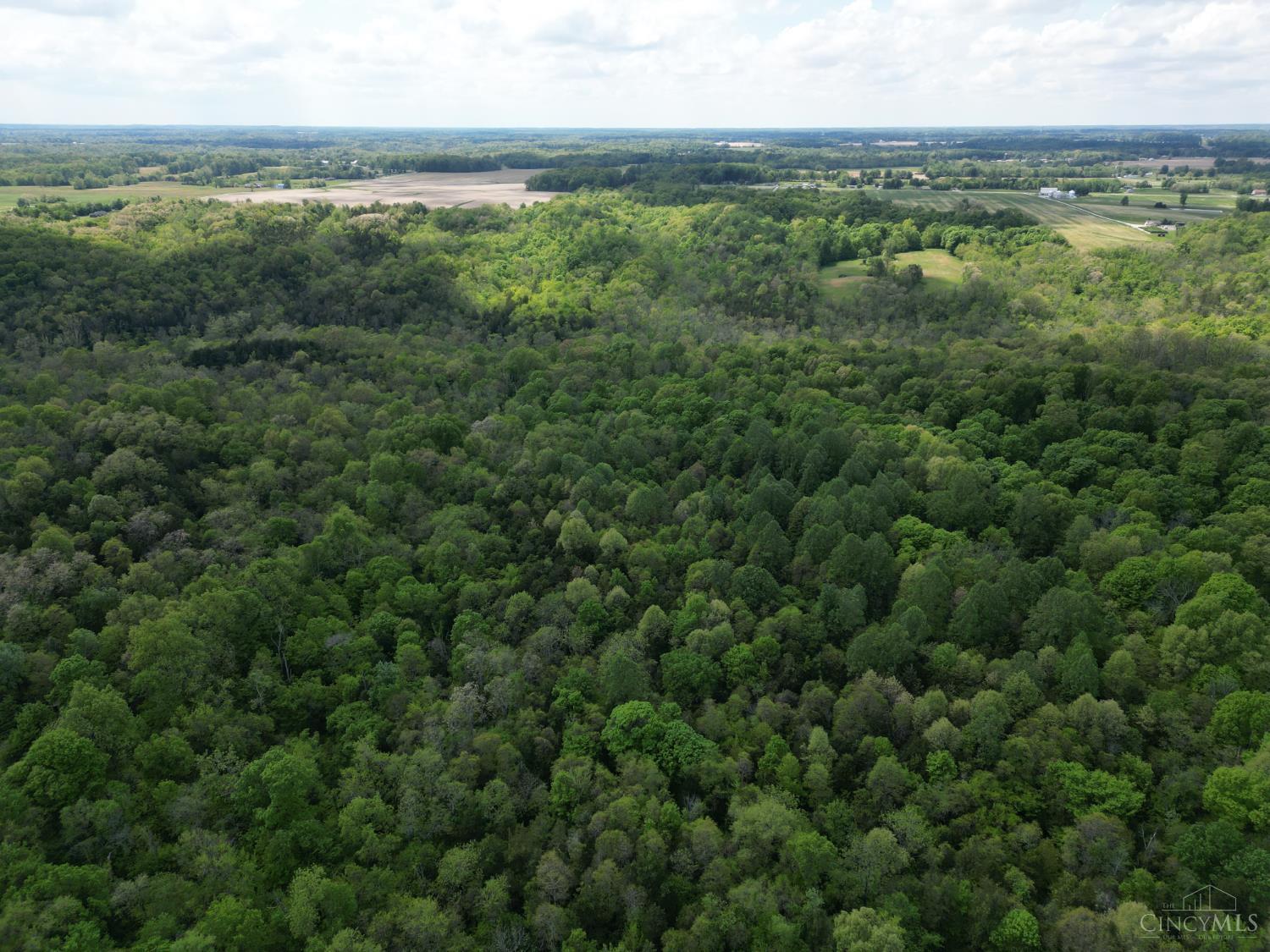 Chesterville Road Property Photo 13