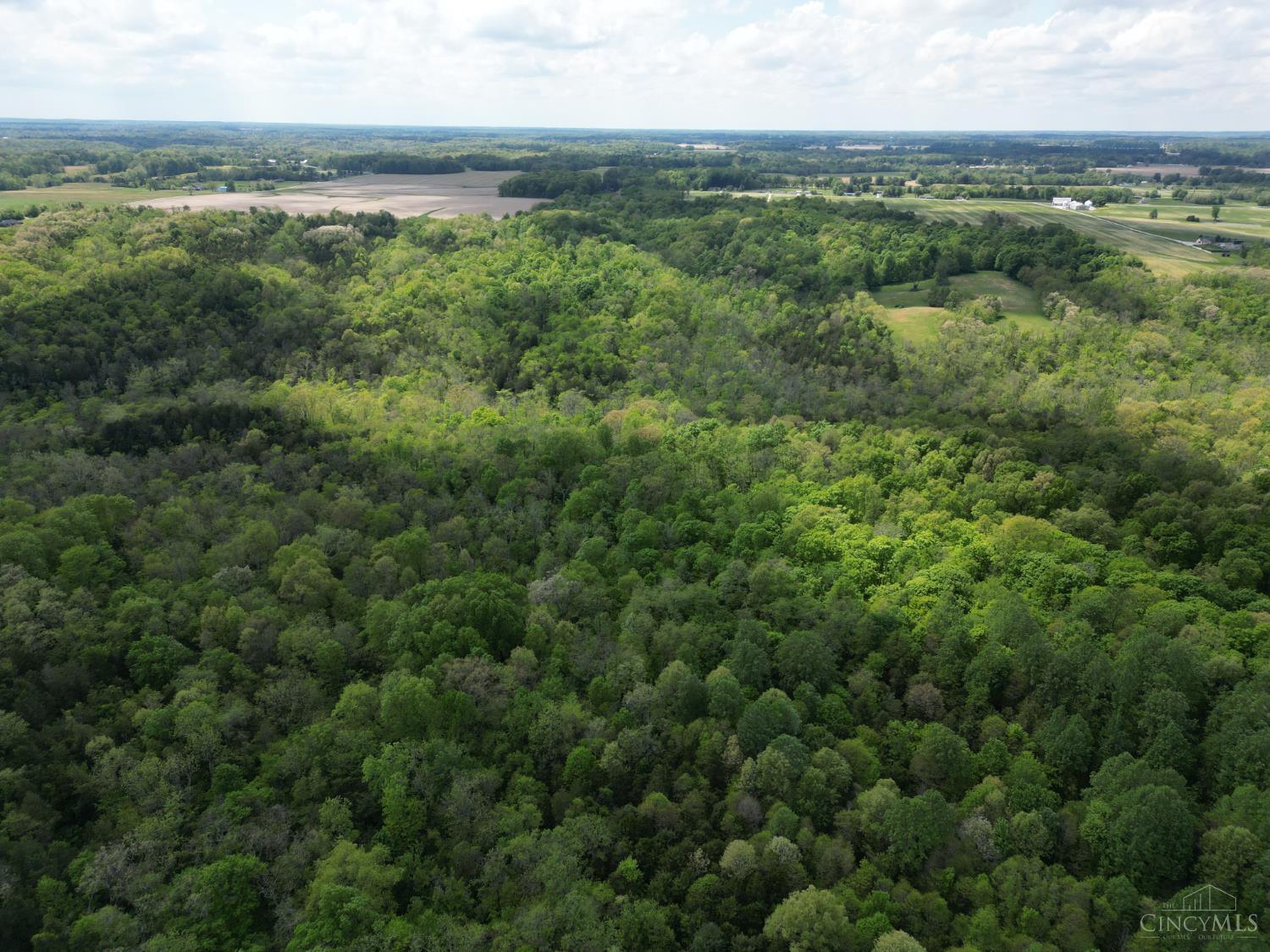 Chesterville Road Property Photo 14