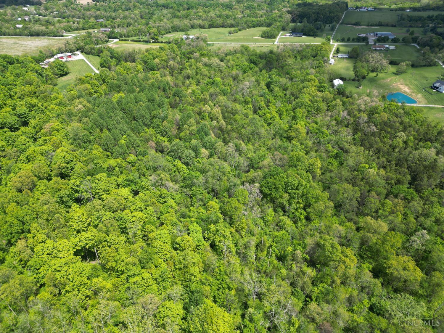 Chesterville Road Property Photo 16