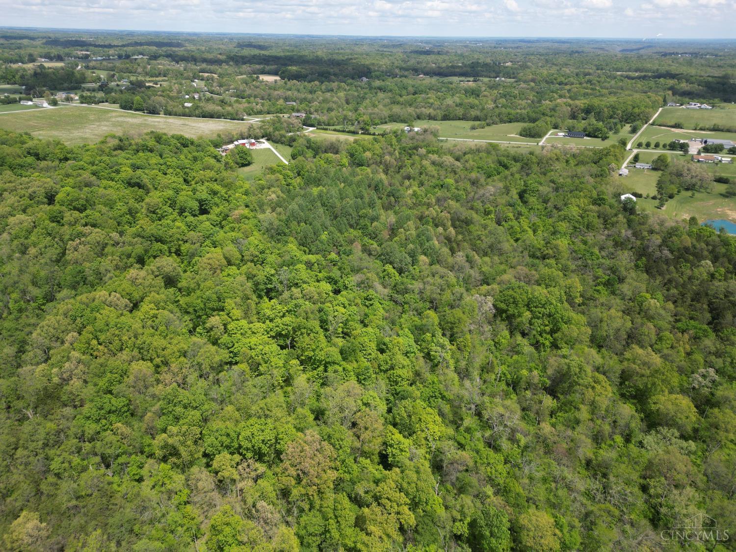 Chesterville Road Property Photo 19