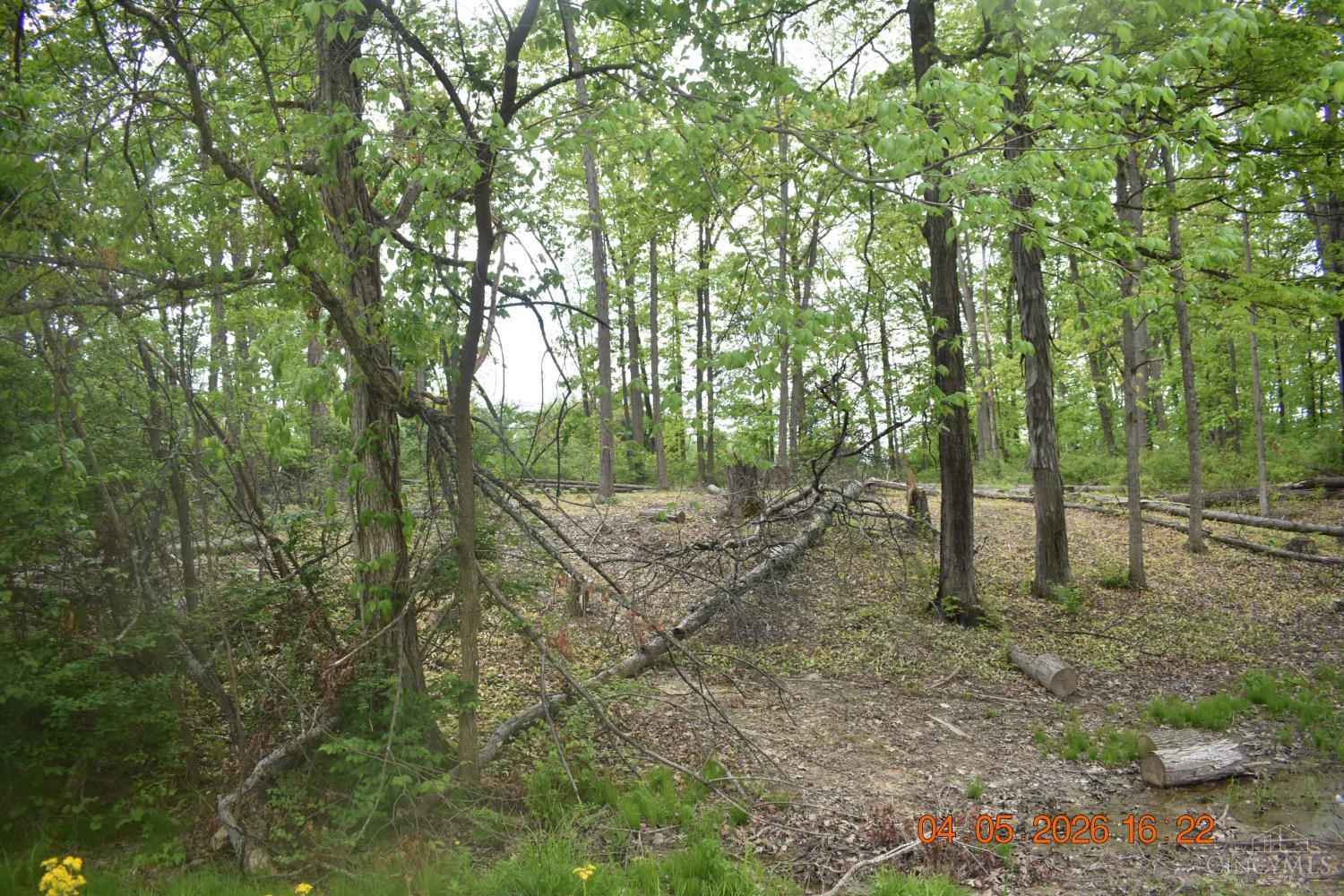 Schlitz Drive Property Photo 1
