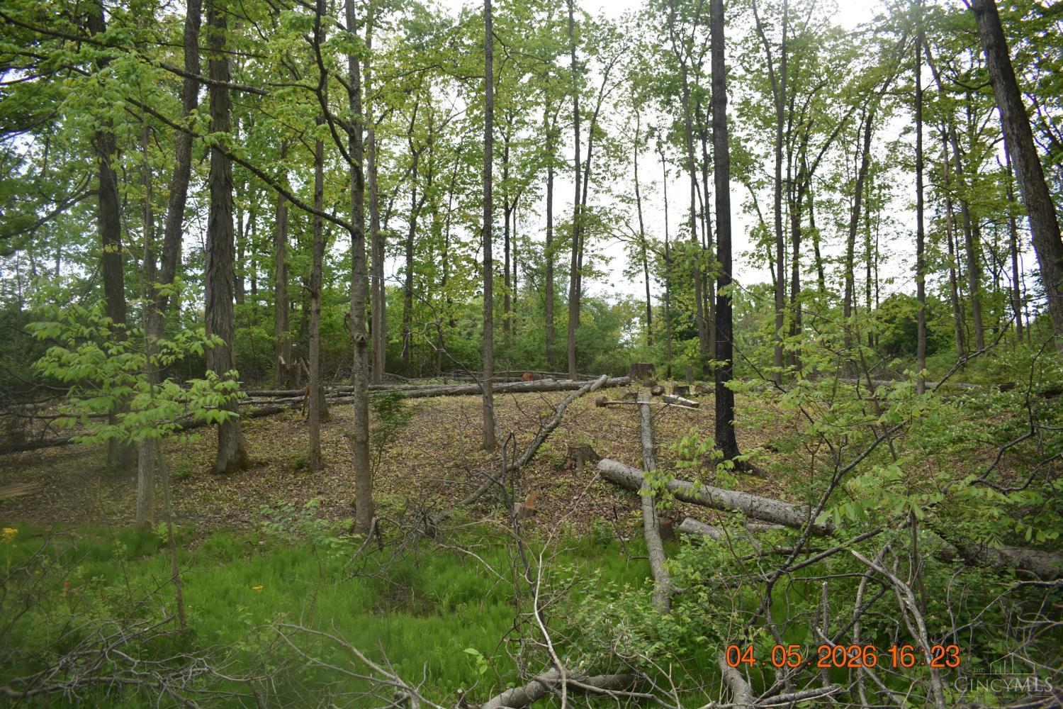 Schlitz Drive Property Photo 2