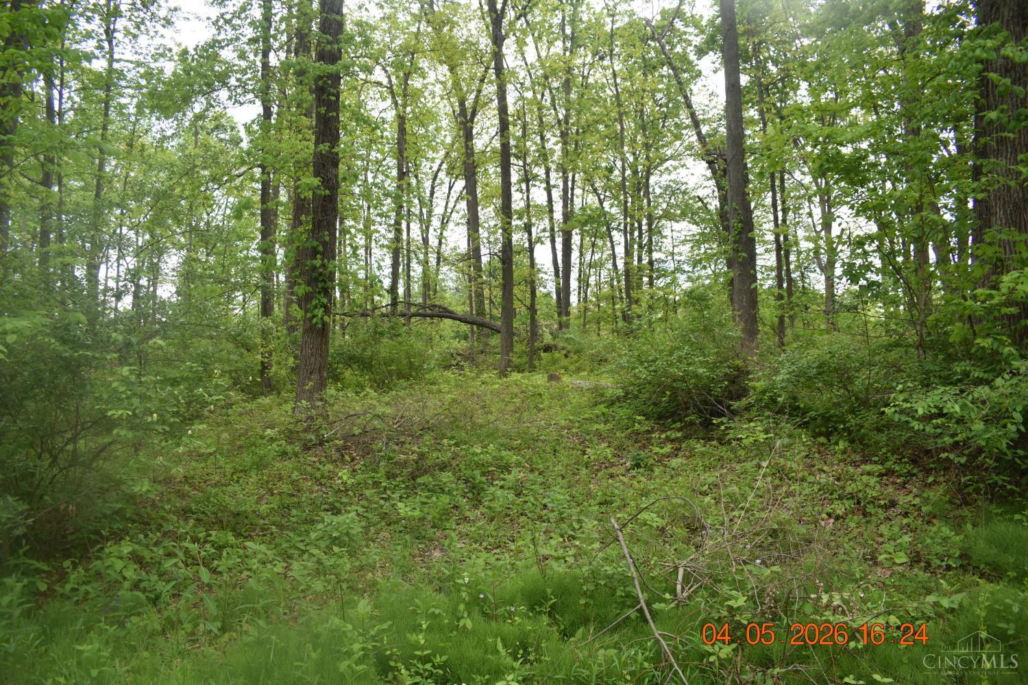 209 Schlitz Drive Property Photo 1