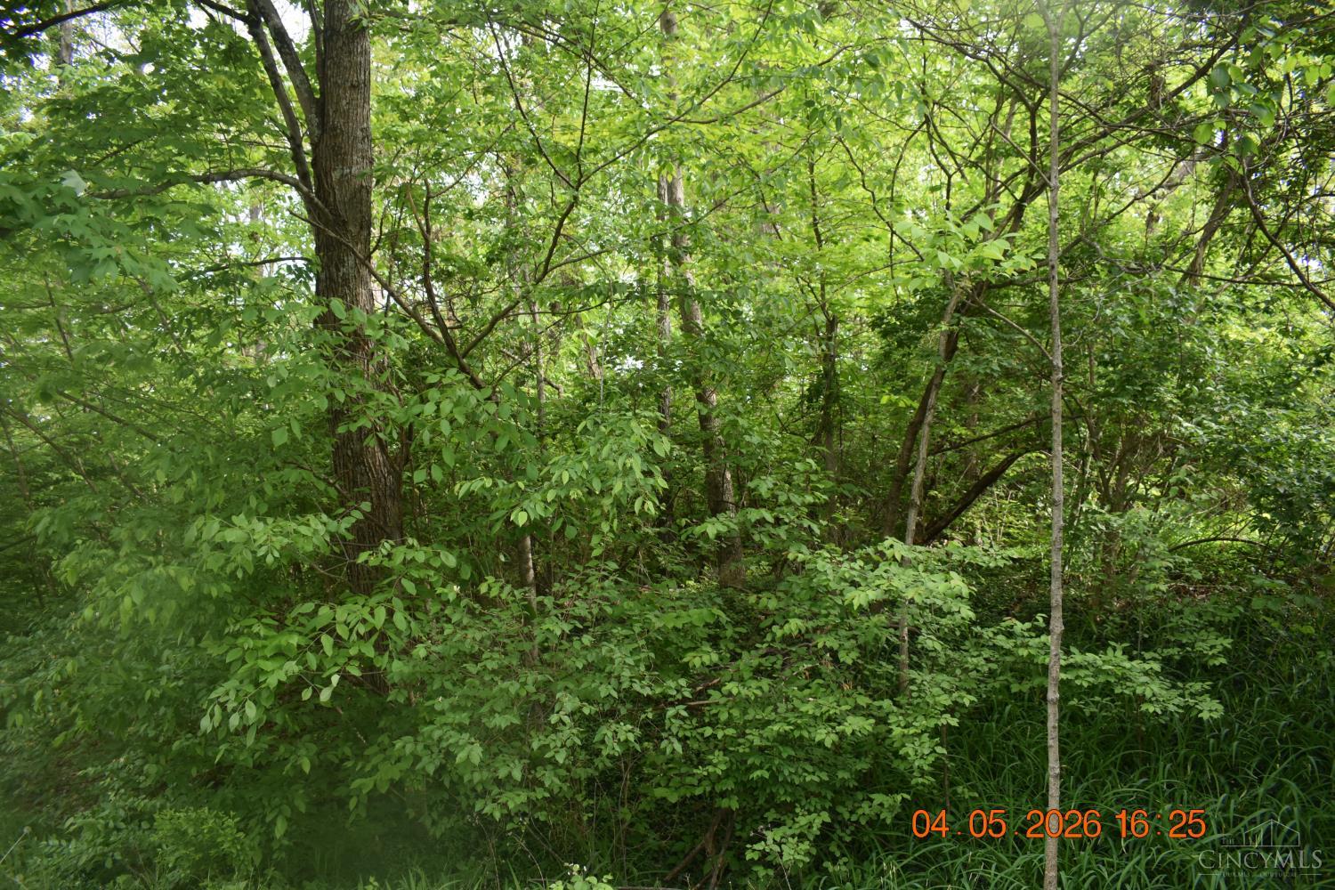 Schlitz Drive Property Photo 1