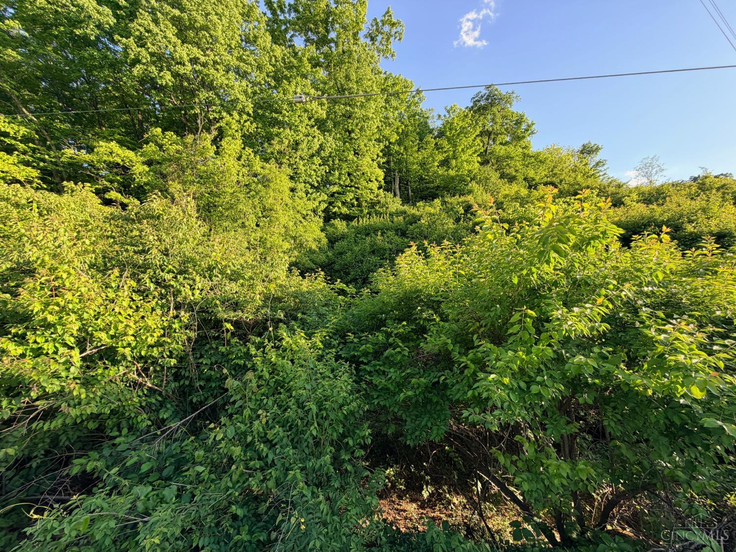 4302 Marcrest Drive Property Photo 16