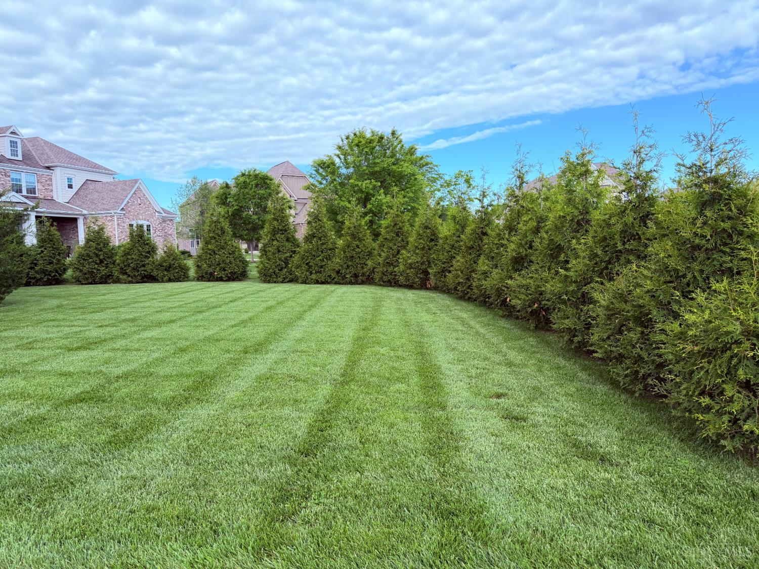 6537 Martindill Way Property Photo 6