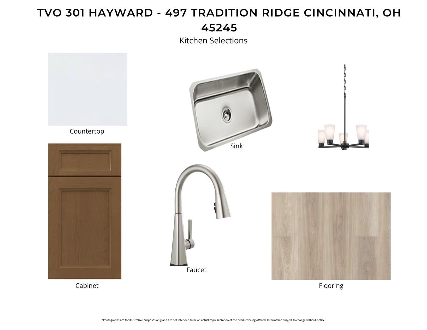 497 Tradition Ridge Property Photo 3