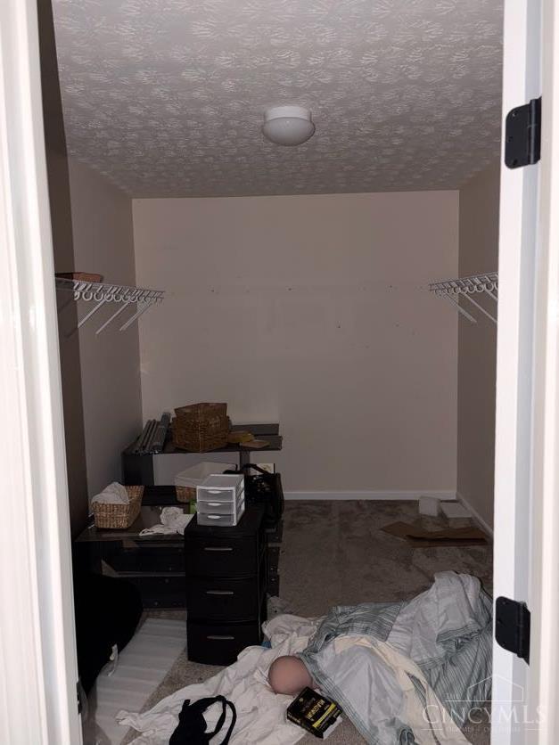 1076 Oak Forest Drive Property Photo 19