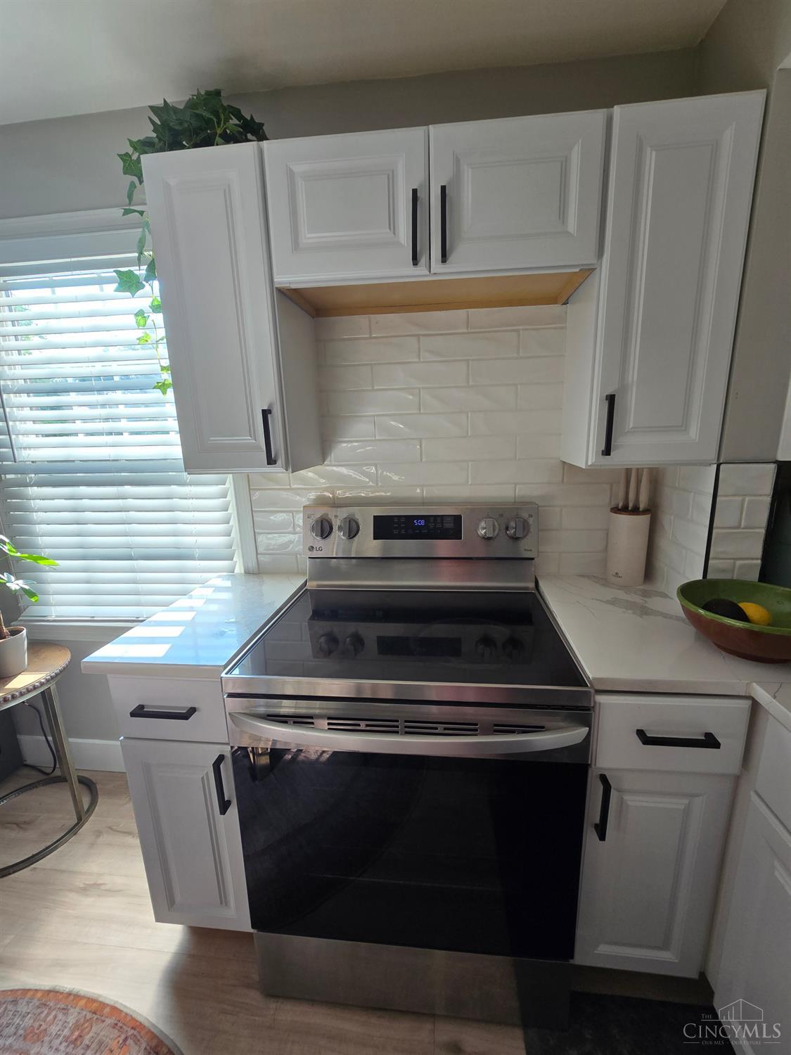 1110 Springfield Pike Property Photo 11