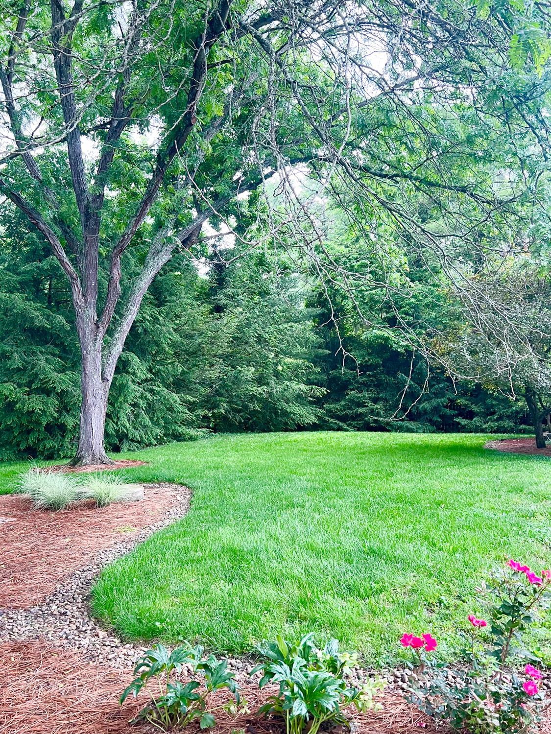 317 Given Road Property Photo 49