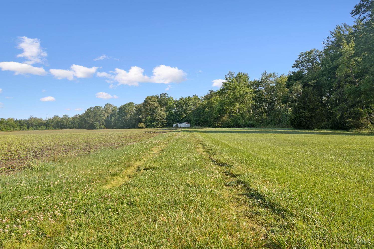 Yochum Rd Property Photo 18