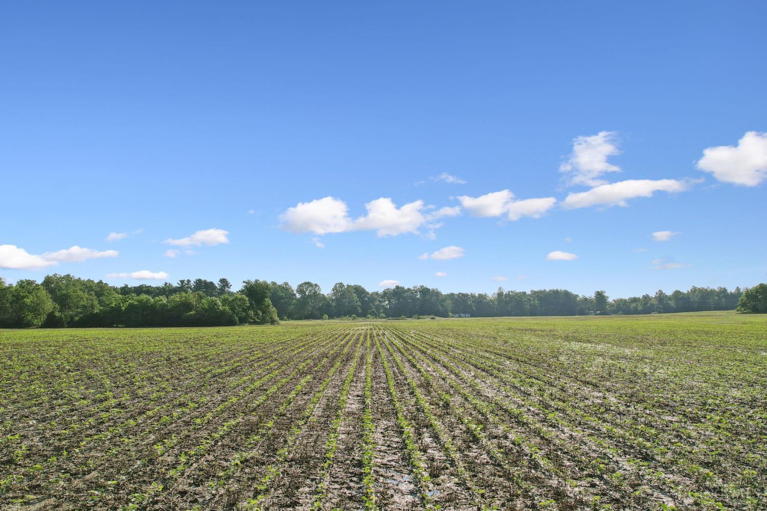 Yochum Rd Property Photo 28