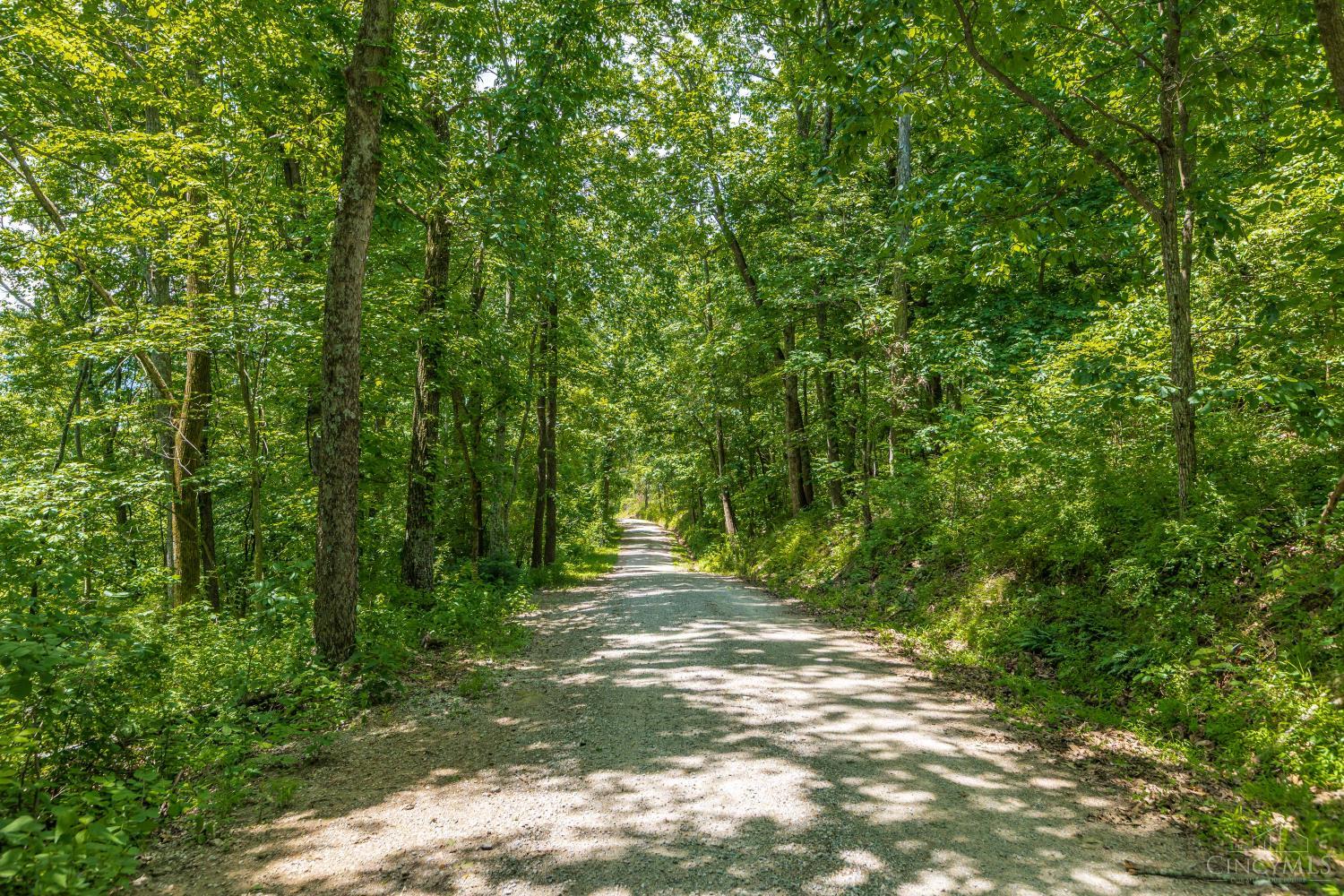 745 Coon Hollow Road Property Photo 6