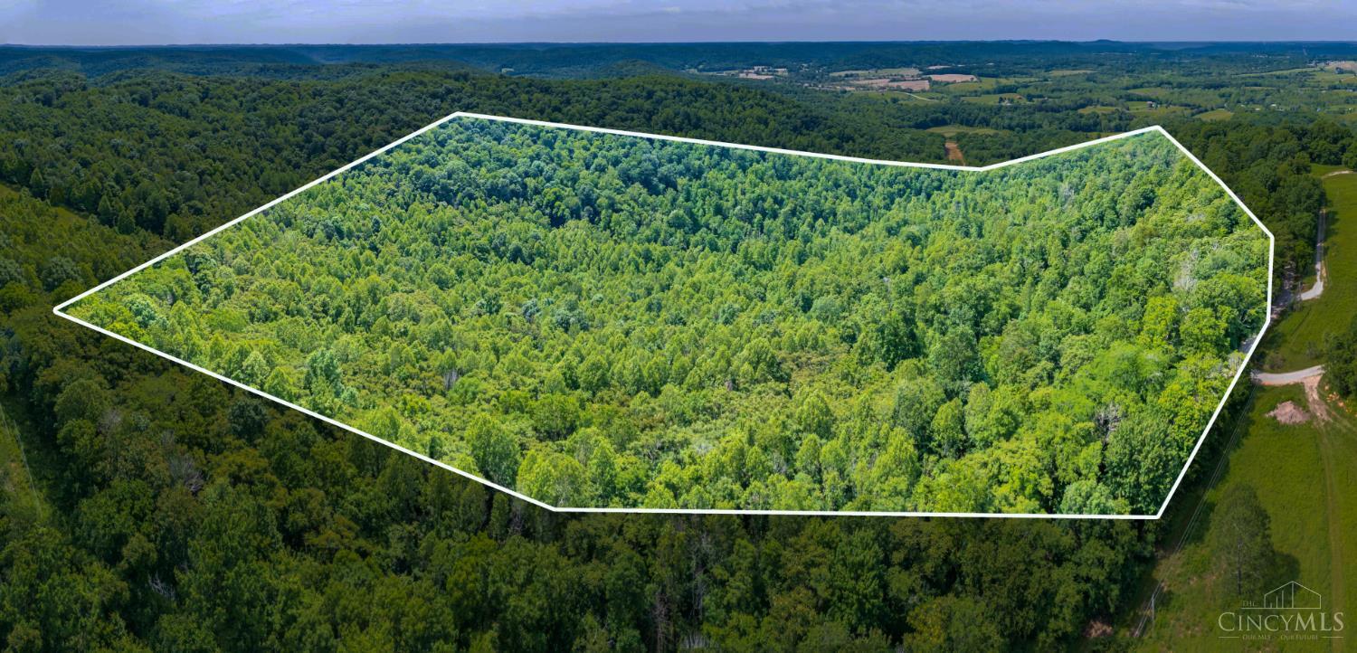 745 Coon Hollow Road Property Photo 7