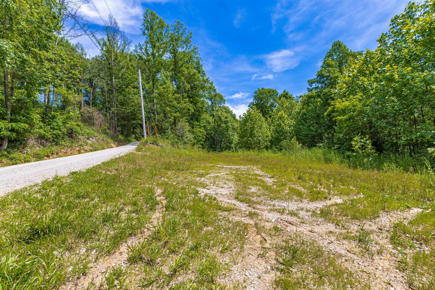 745 Coon Hollow Road Property Photo 8