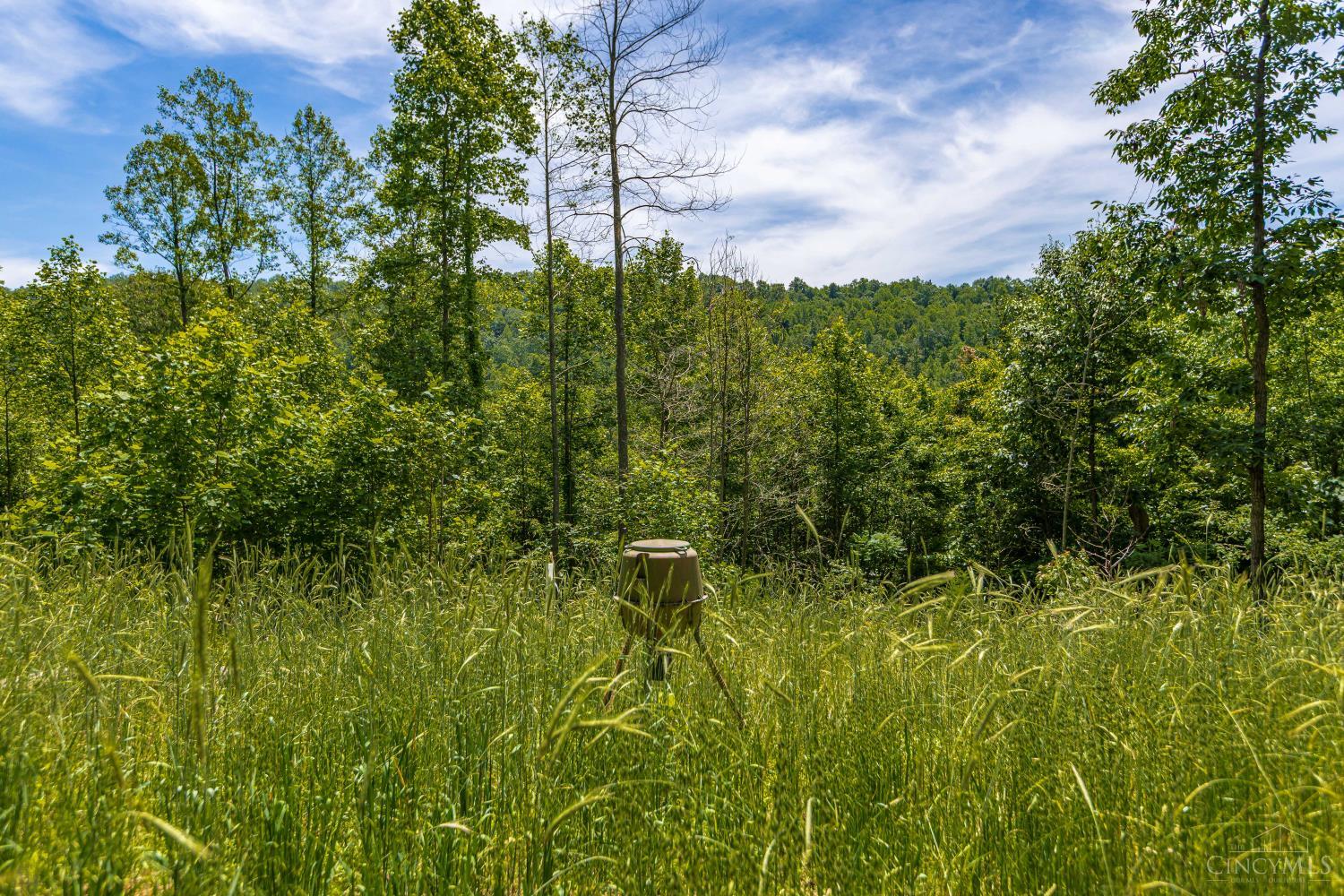 745 Coon Hollow Road Property Photo 10