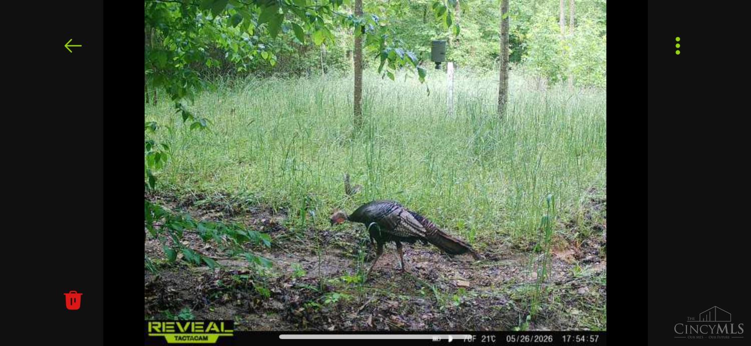 745 Coon Hollow Road Property Photo 12