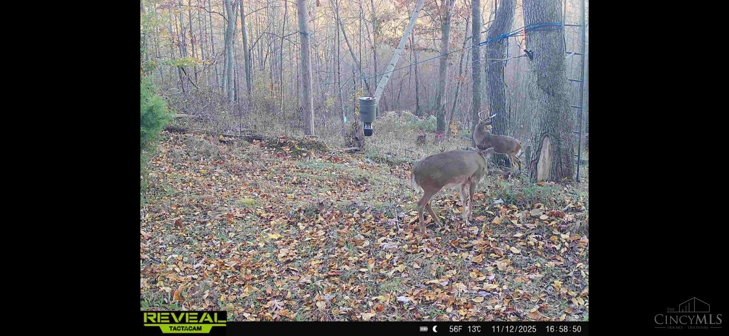 745 Coon Hollow Road Property Photo 14