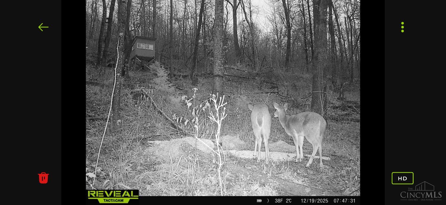 745 Coon Hollow Road Property Photo 15