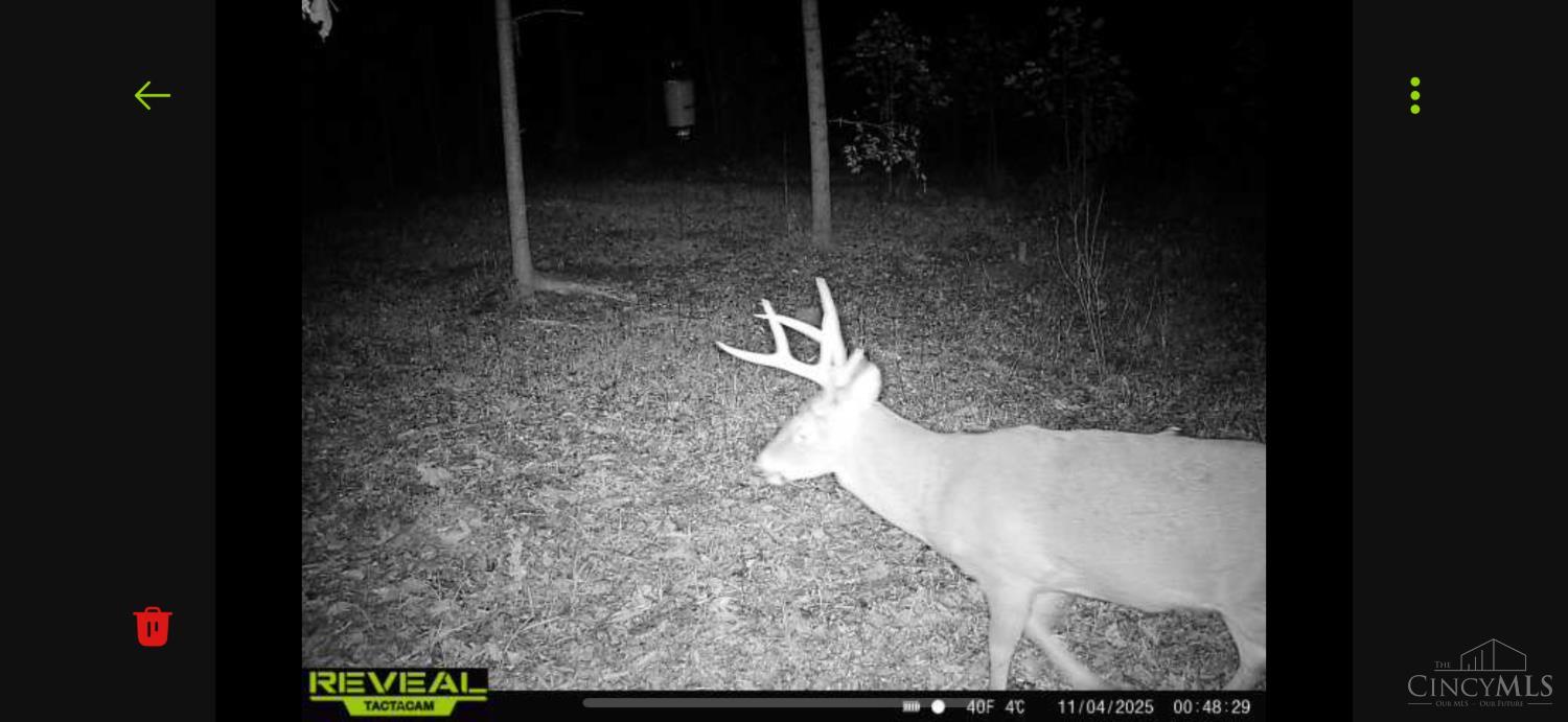 745 Coon Hollow Road Property Photo 16