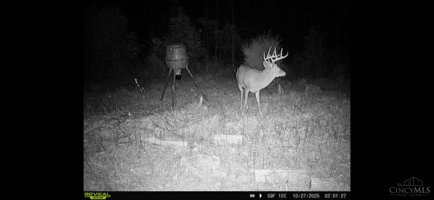 745 Coon Hollow Road Property Photo 17