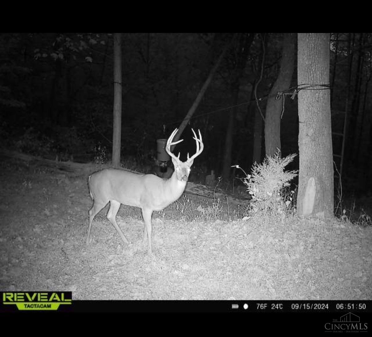 745 Coon Hollow Road Property Photo 18