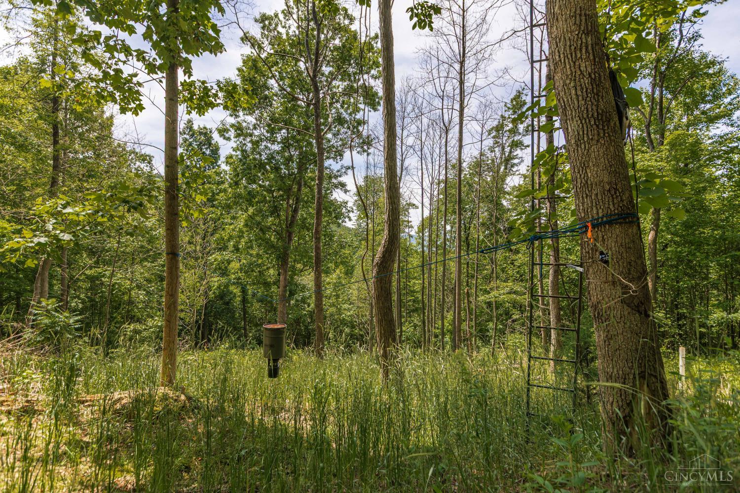 745 Coon Hollow Road Property Photo 21