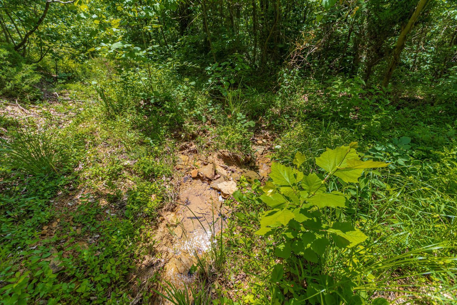 745 Coon Hollow Road Property Photo 22