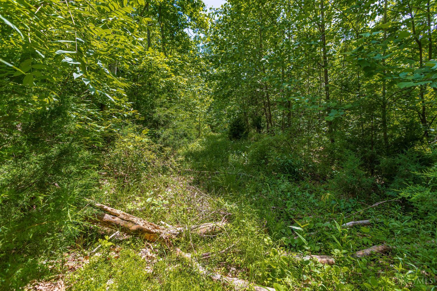 745 Coon Hollow Road Property Photo 23