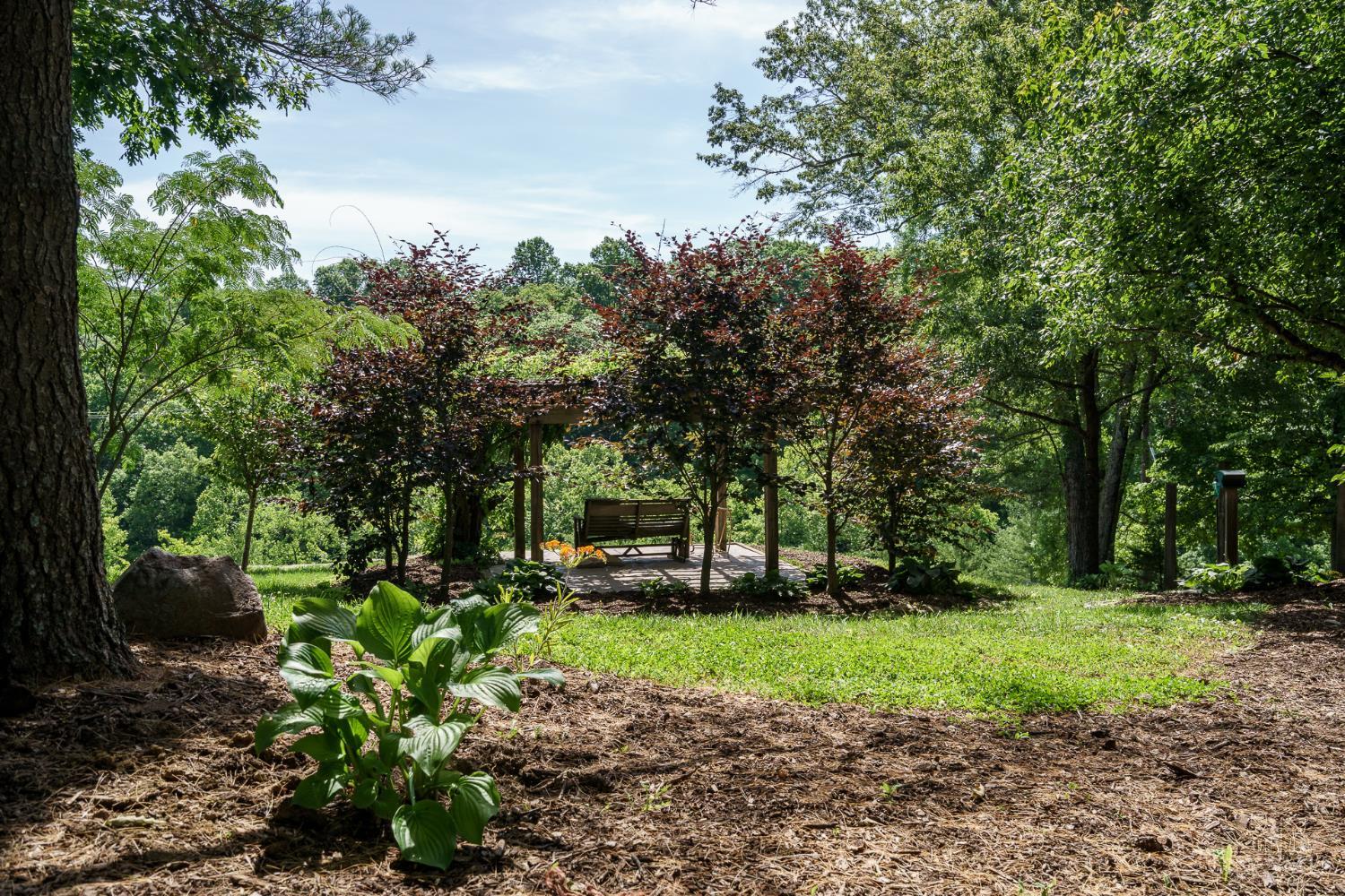 2220 Webb Road Property Photo 13