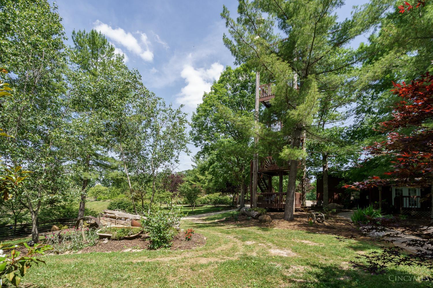 2220 Webb Road Property Photo 24