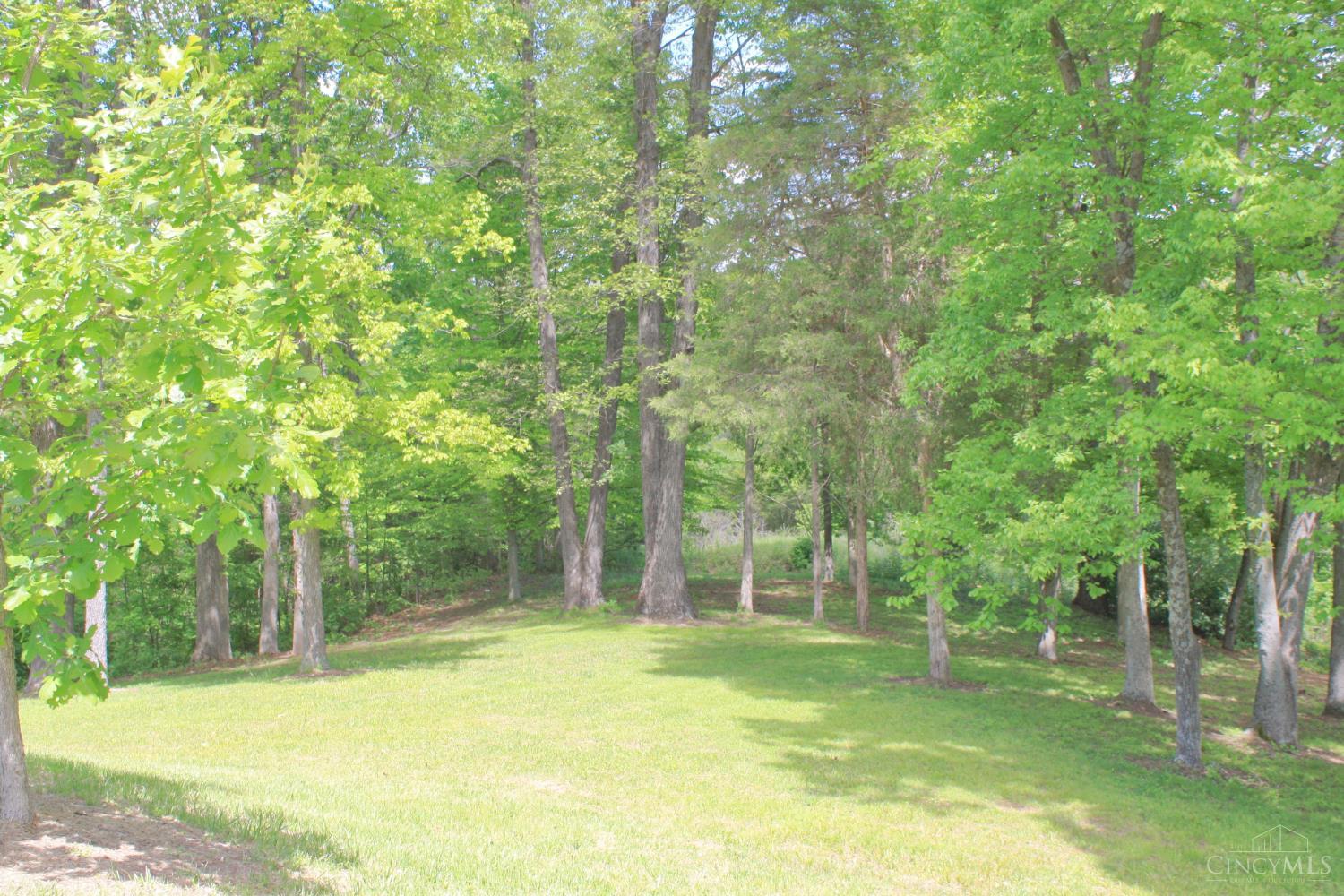 2220 Webb Road Property Photo 75