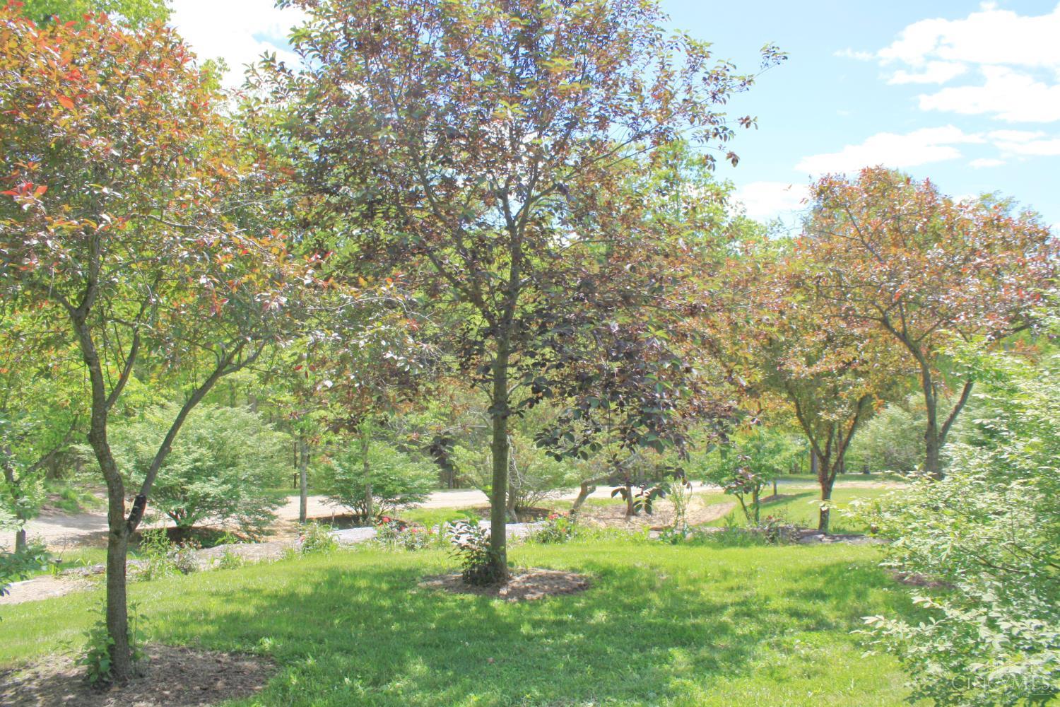 2220 Webb Road Property Photo 80