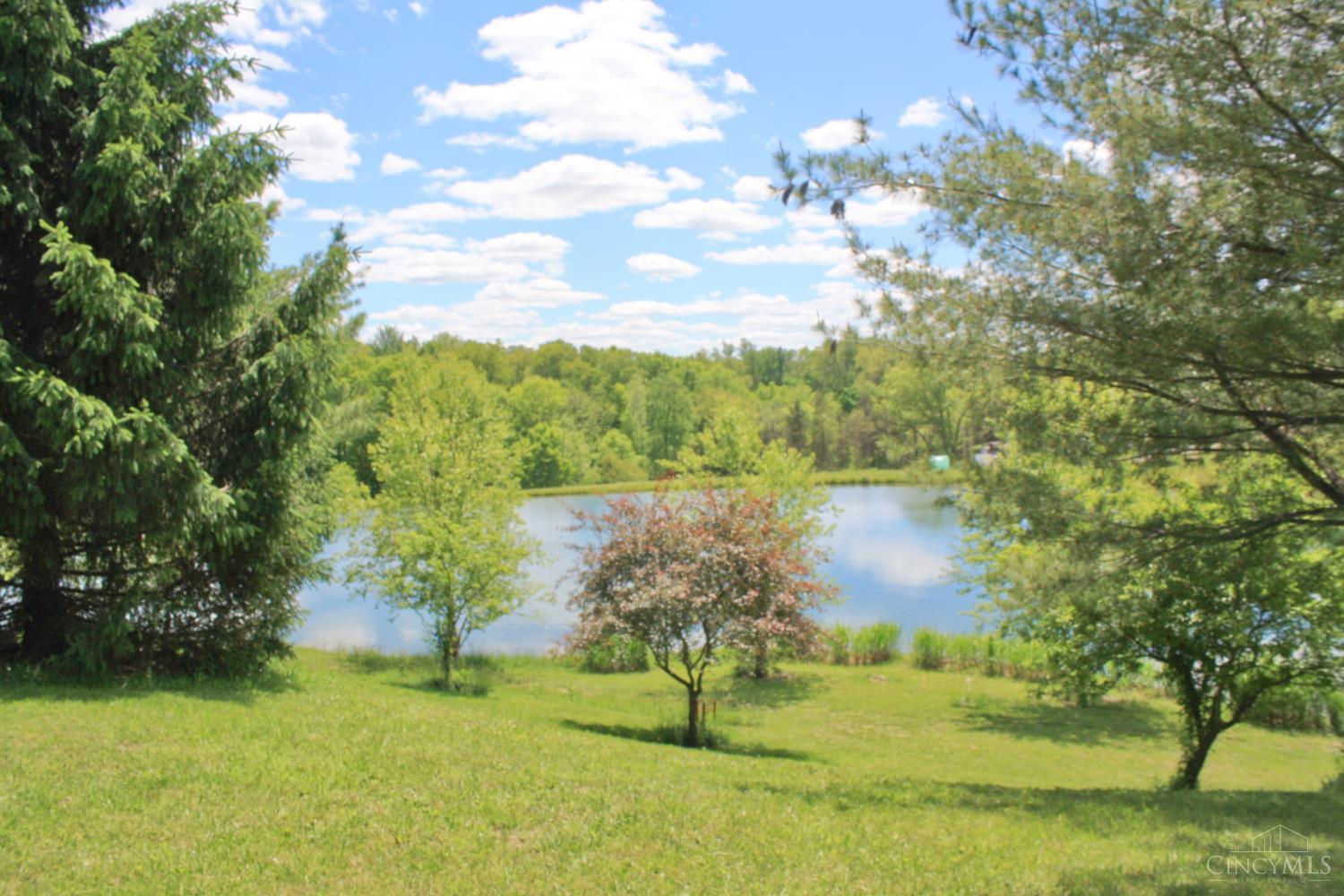 2220 Webb Road Property Photo 81
