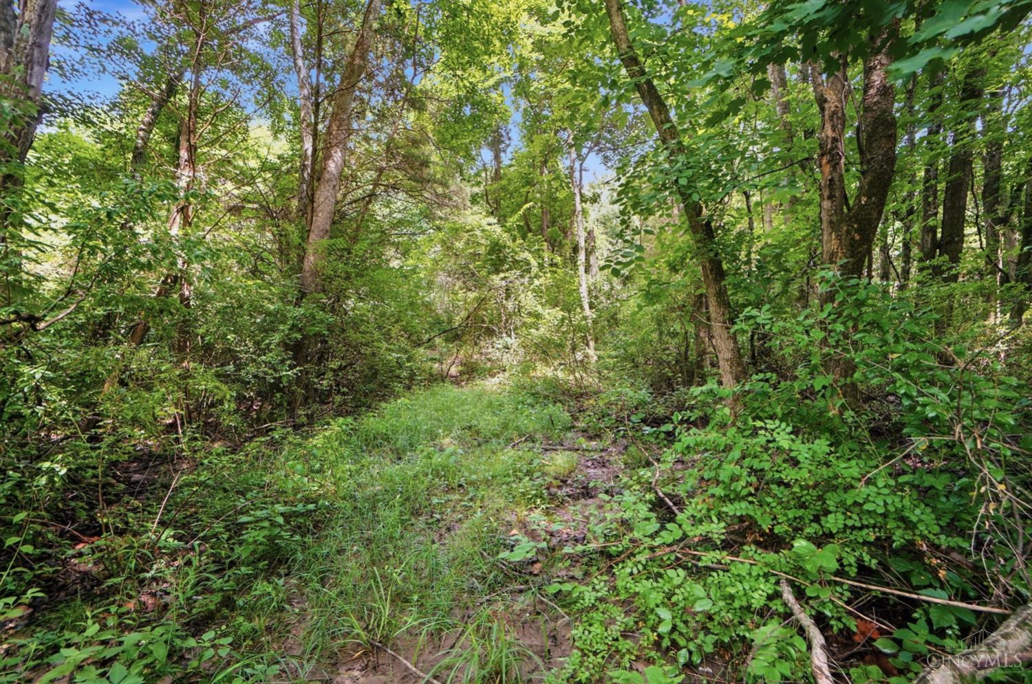 6654 Osceola Road Property Photo 53