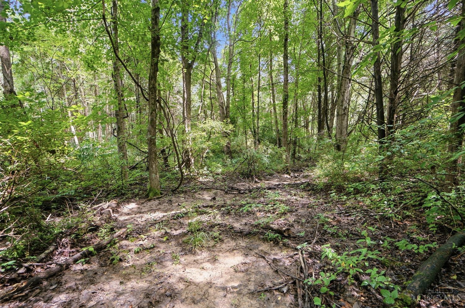 6654 Osceola Road Property Photo 54