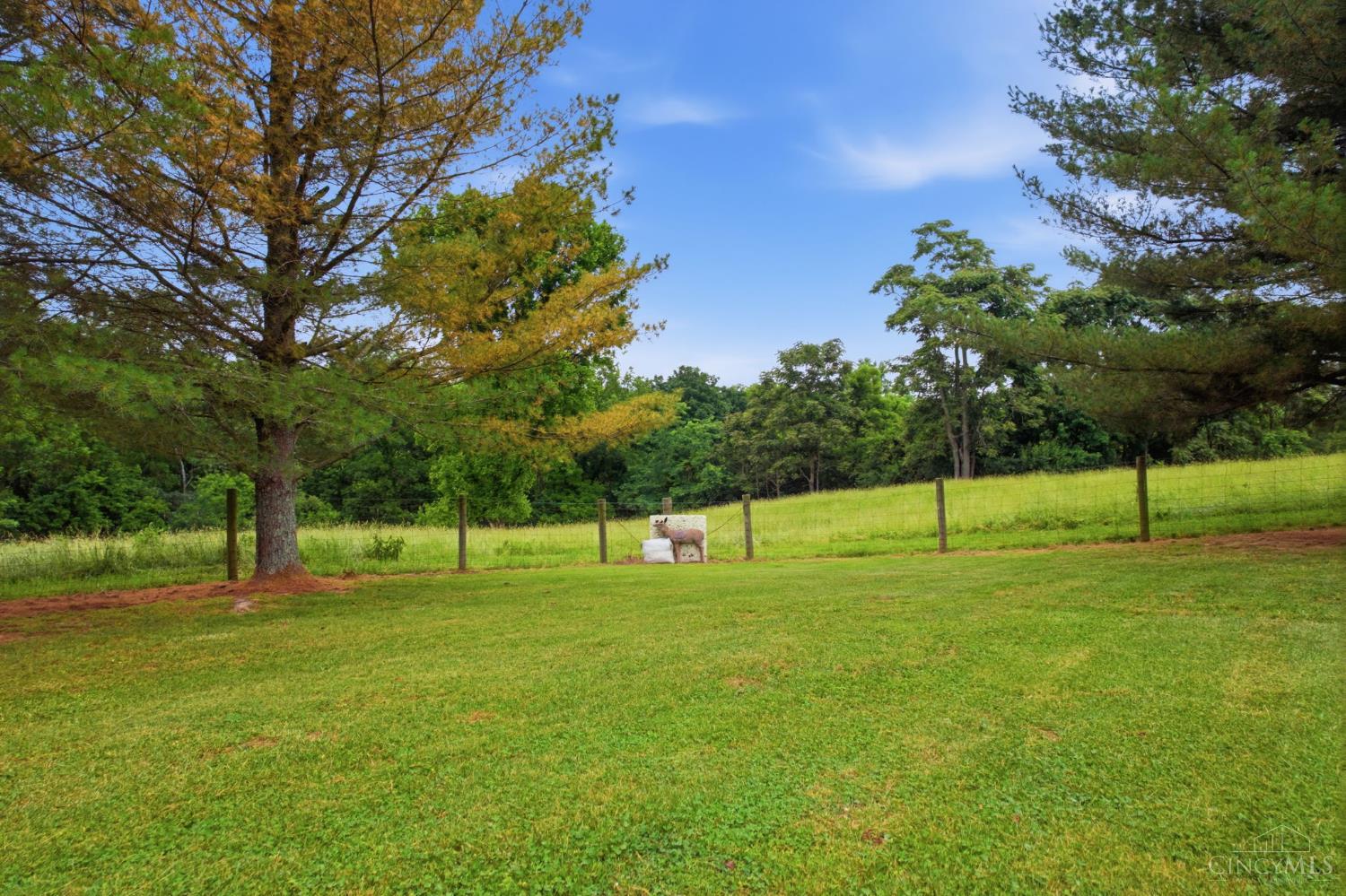 5387 Schwallie Road Property Photo 13
