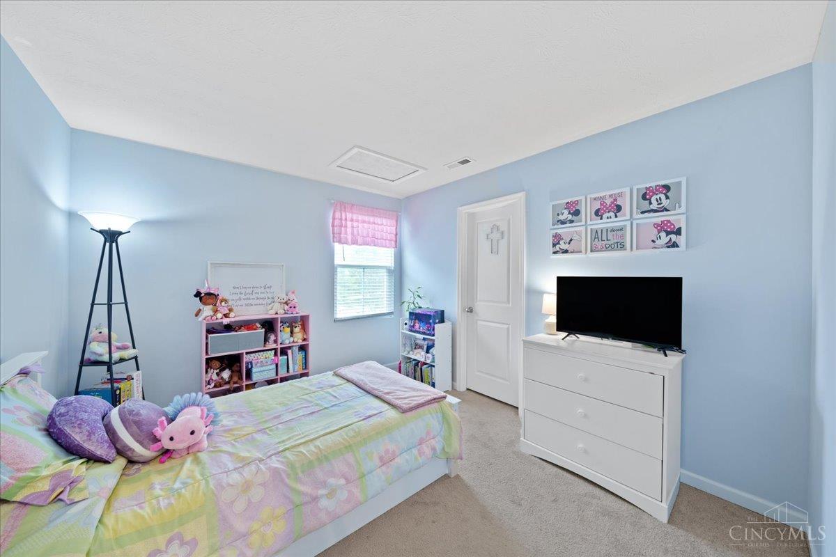 114 Junction Point Property Photo 27