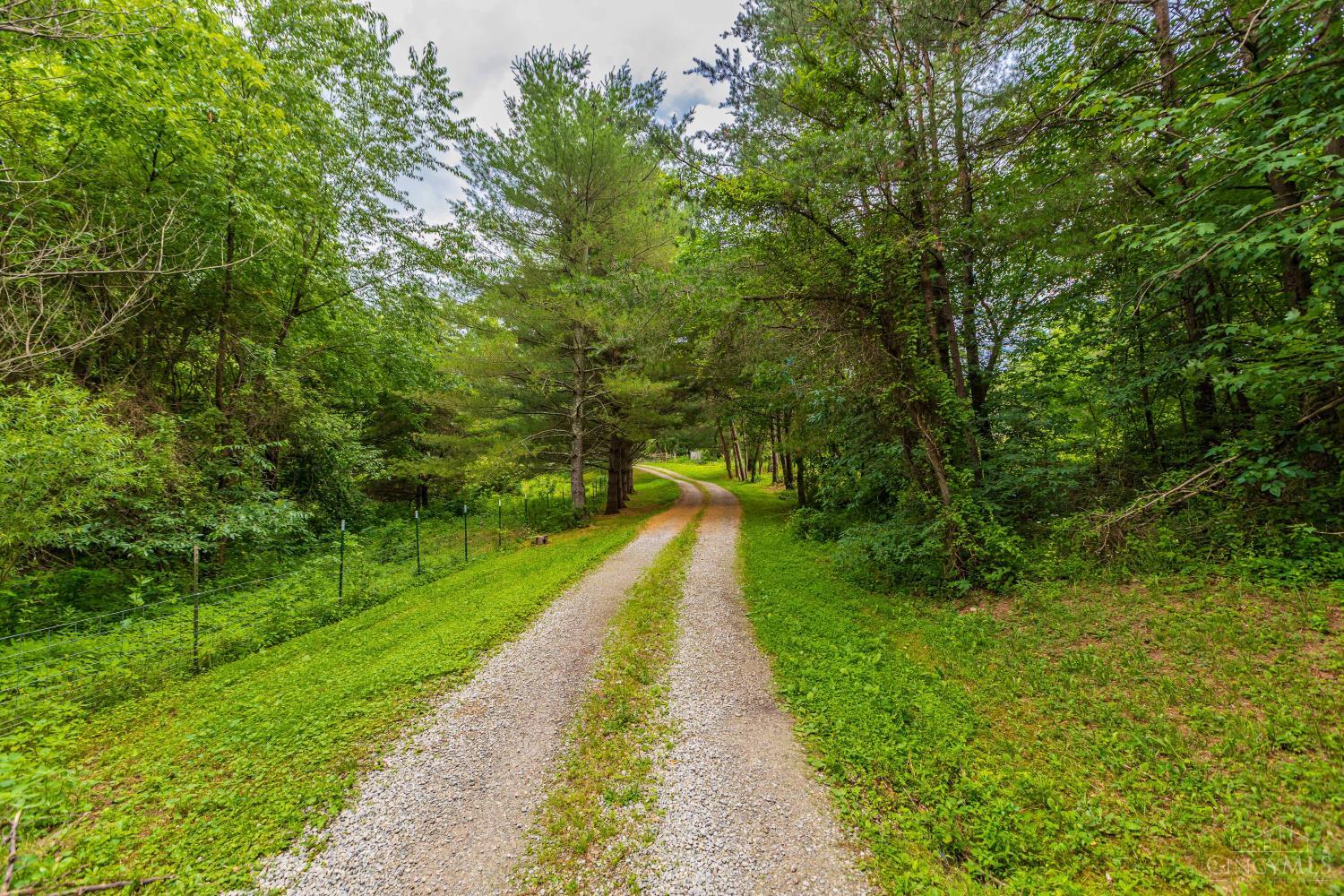 1237 Black Hollow Road Property Photo 4
