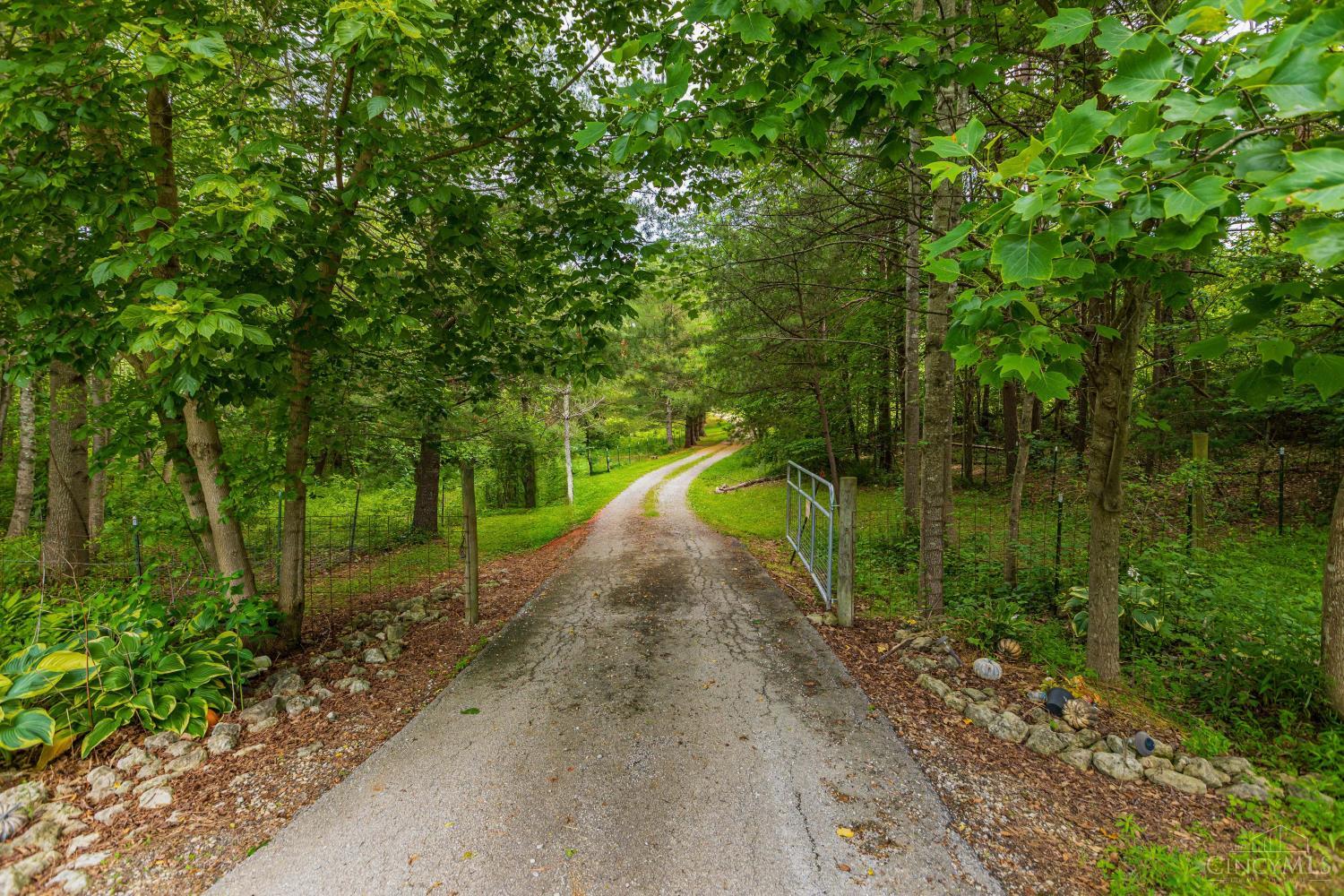 1237 Black Hollow Road Property Photo 5