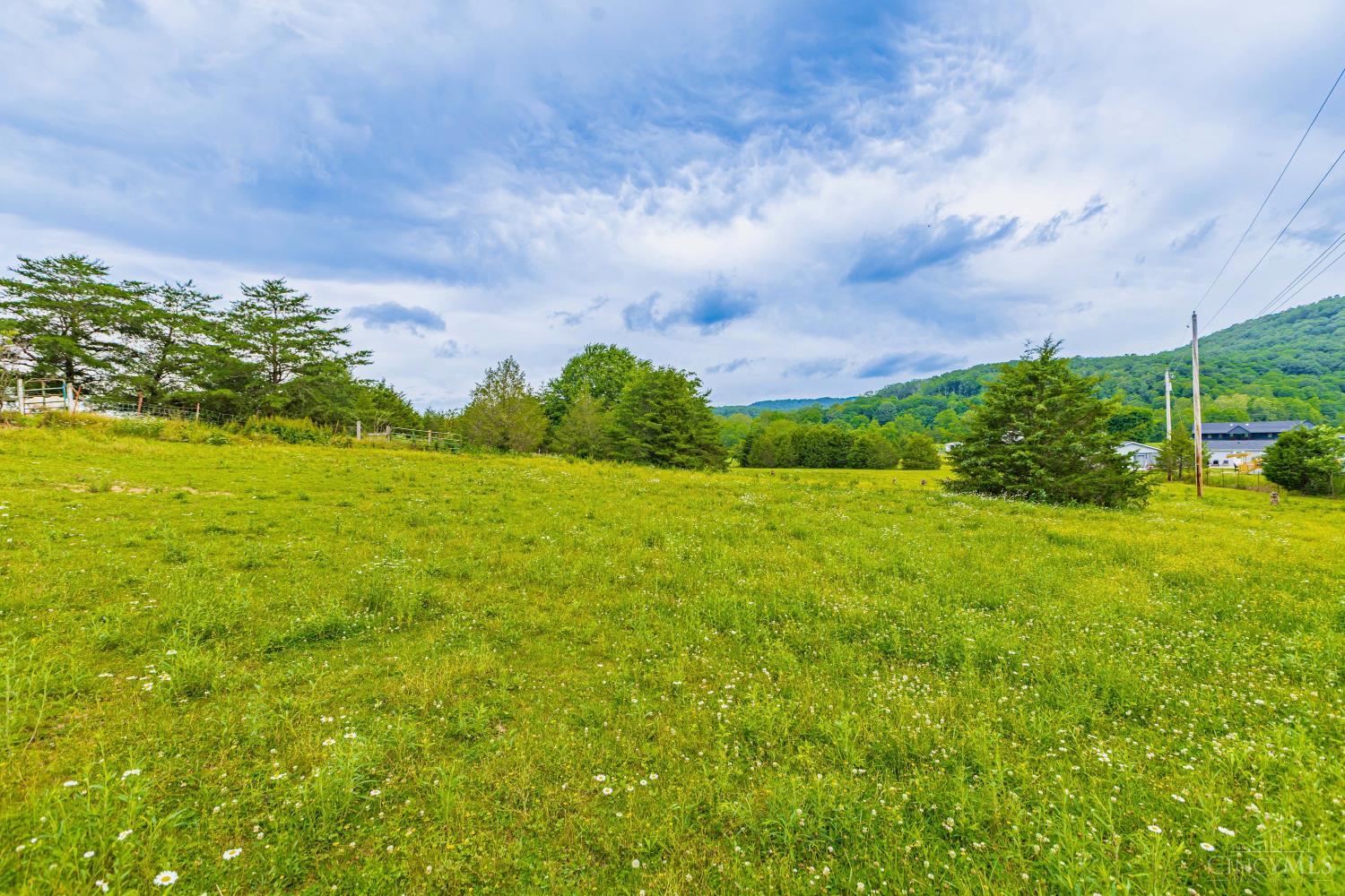 1237 Black Hollow Road Property Photo 44