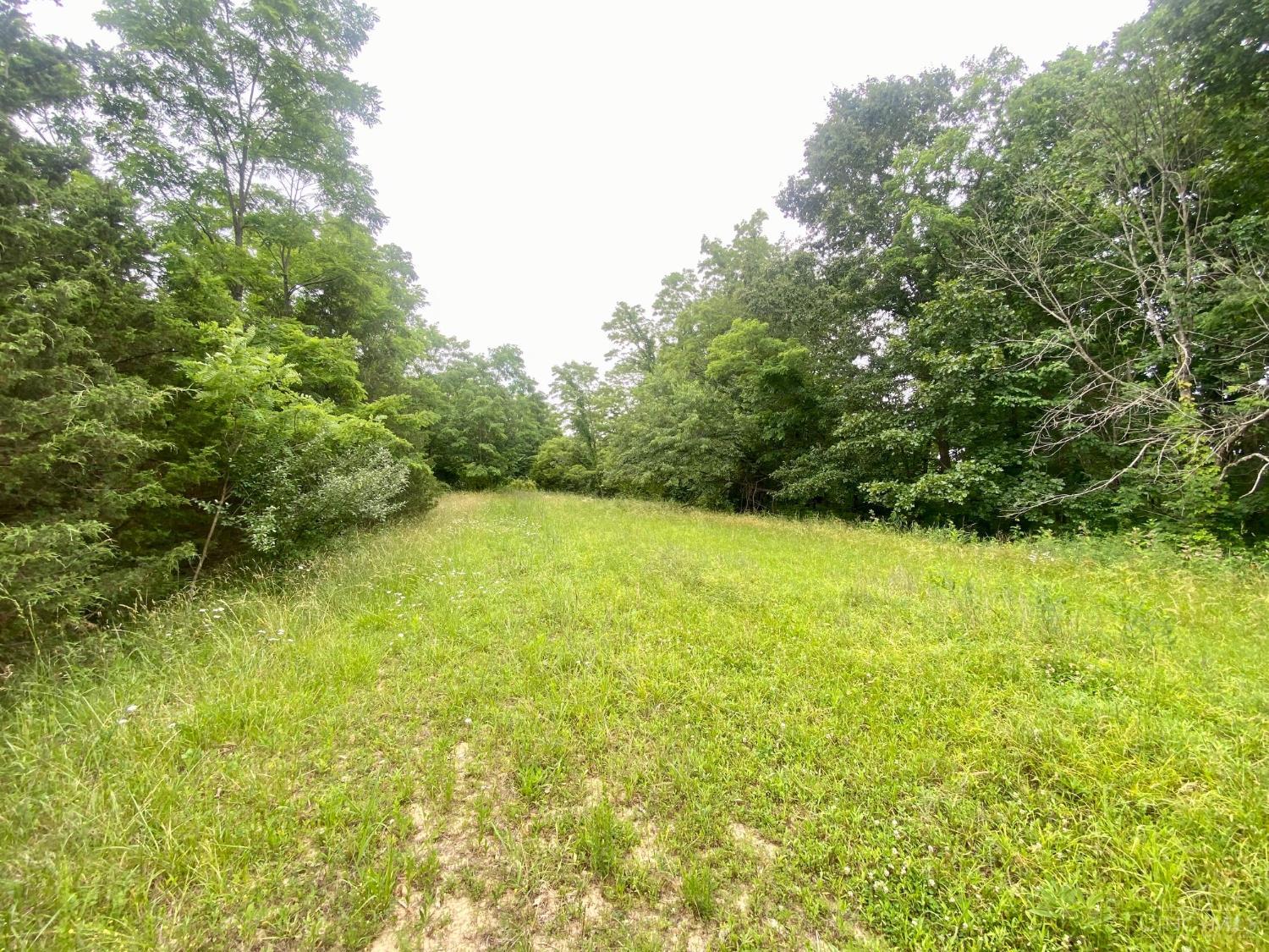 400 Lynn Morgan Road Property Photo 5