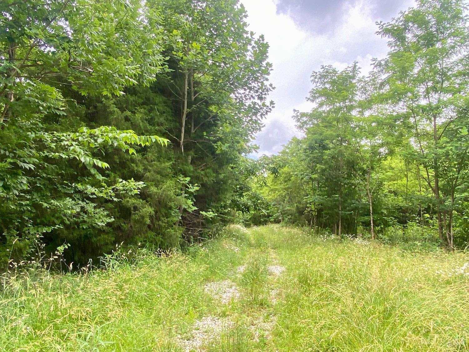 400 Lynn Morgan Road Property Photo 6