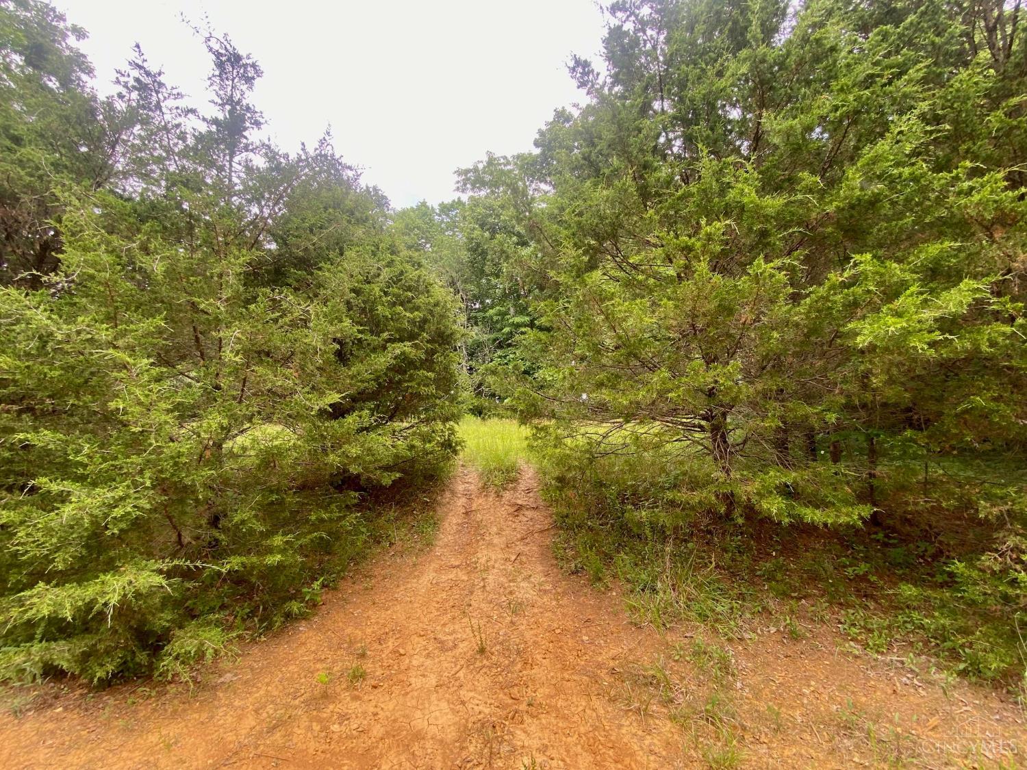 400 Lynn Morgan Road Property Photo 7