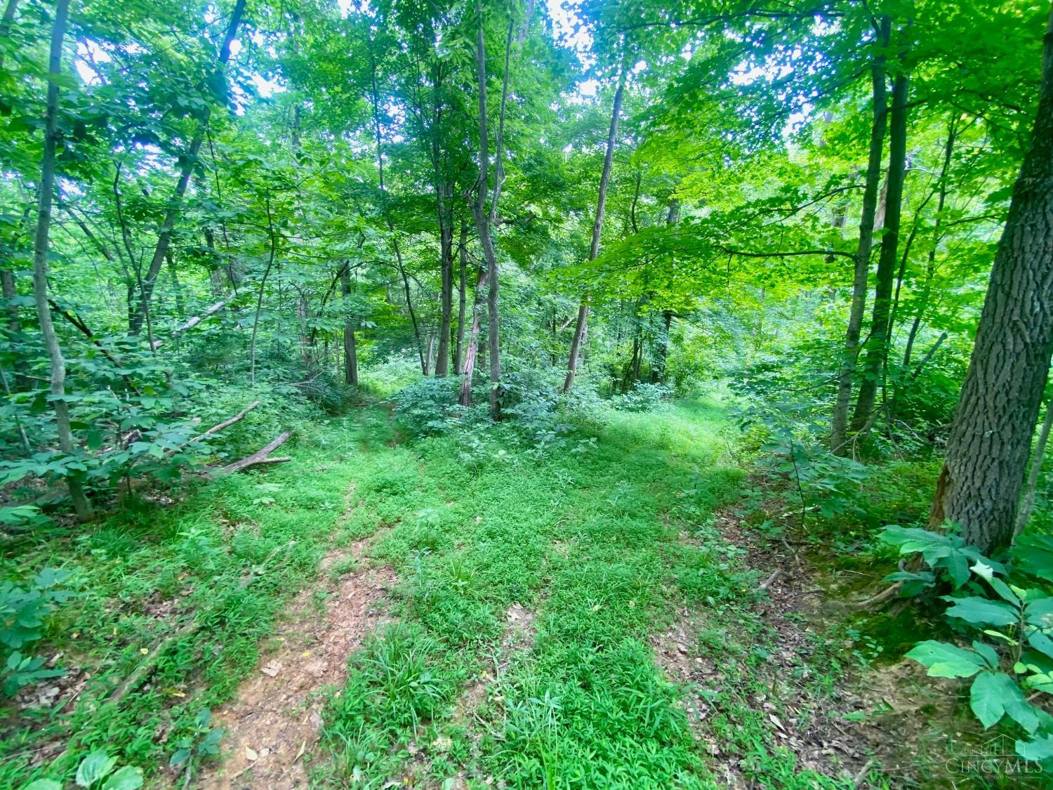 400 Lynn Morgan Road Property Photo 12