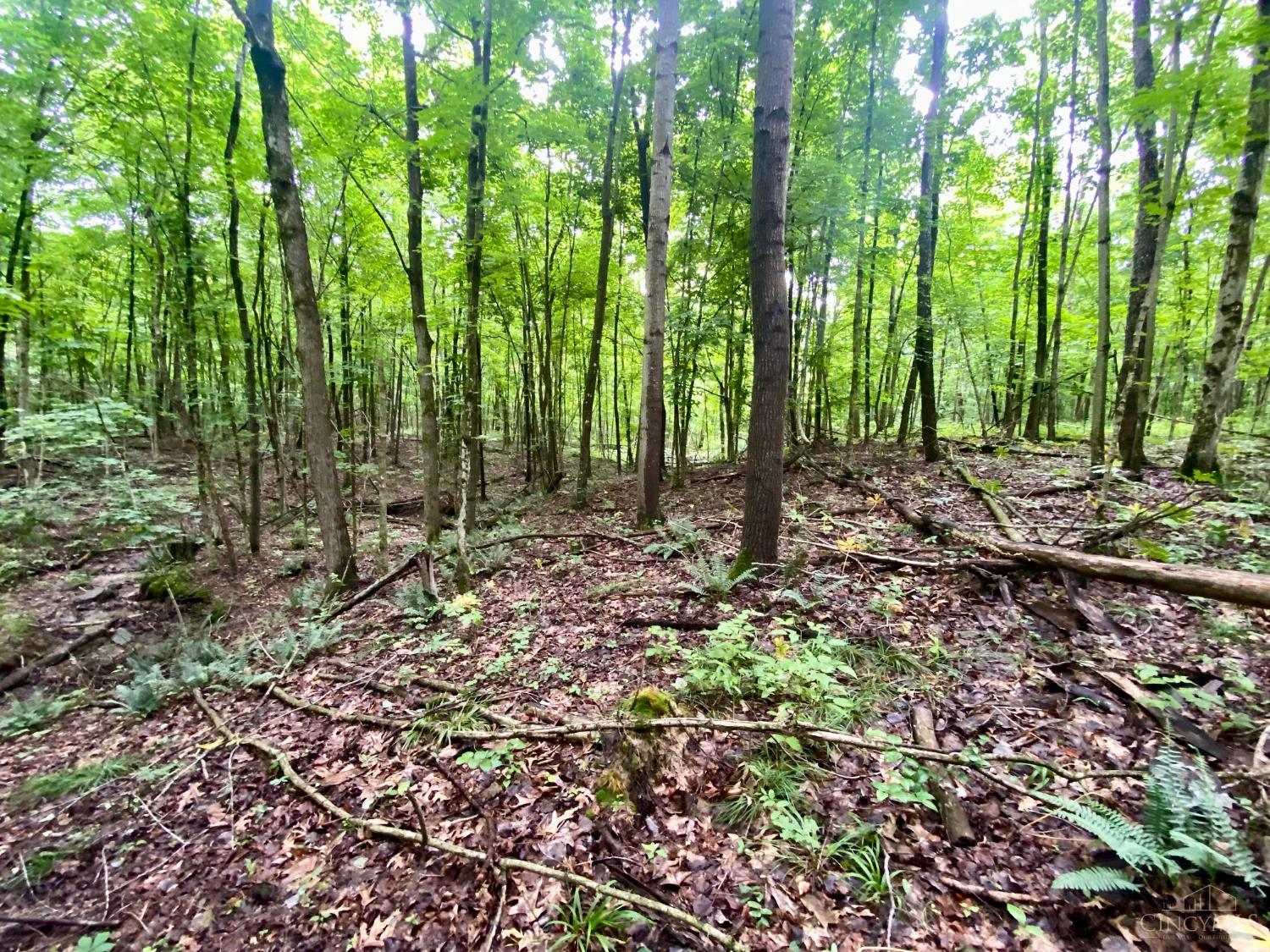 400 Lynn Morgan Road Property Photo 15