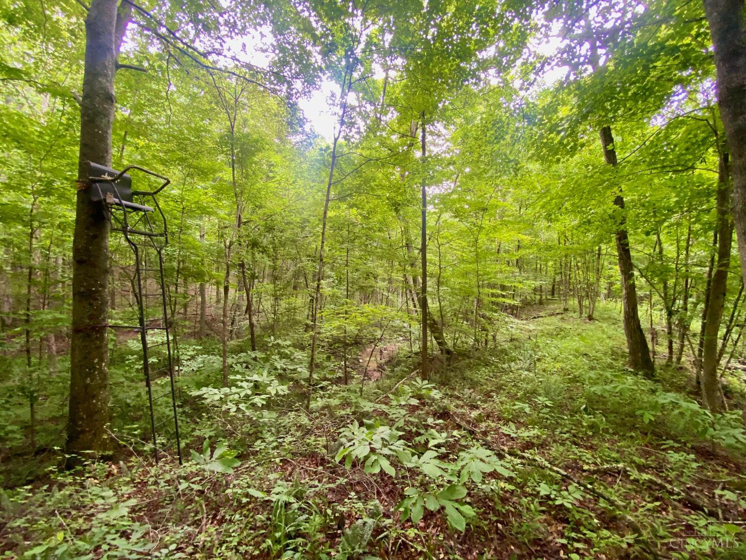 400 Lynn Morgan Road Property Photo 17