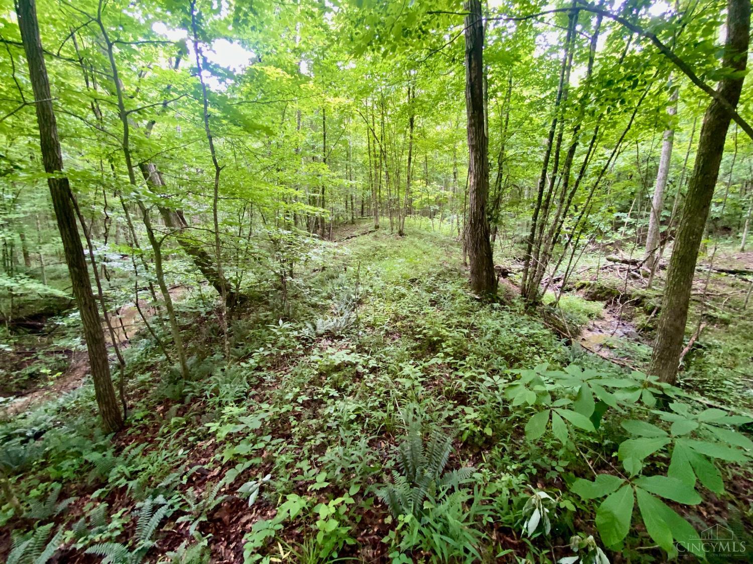 400 Lynn Morgan Road Property Photo 18