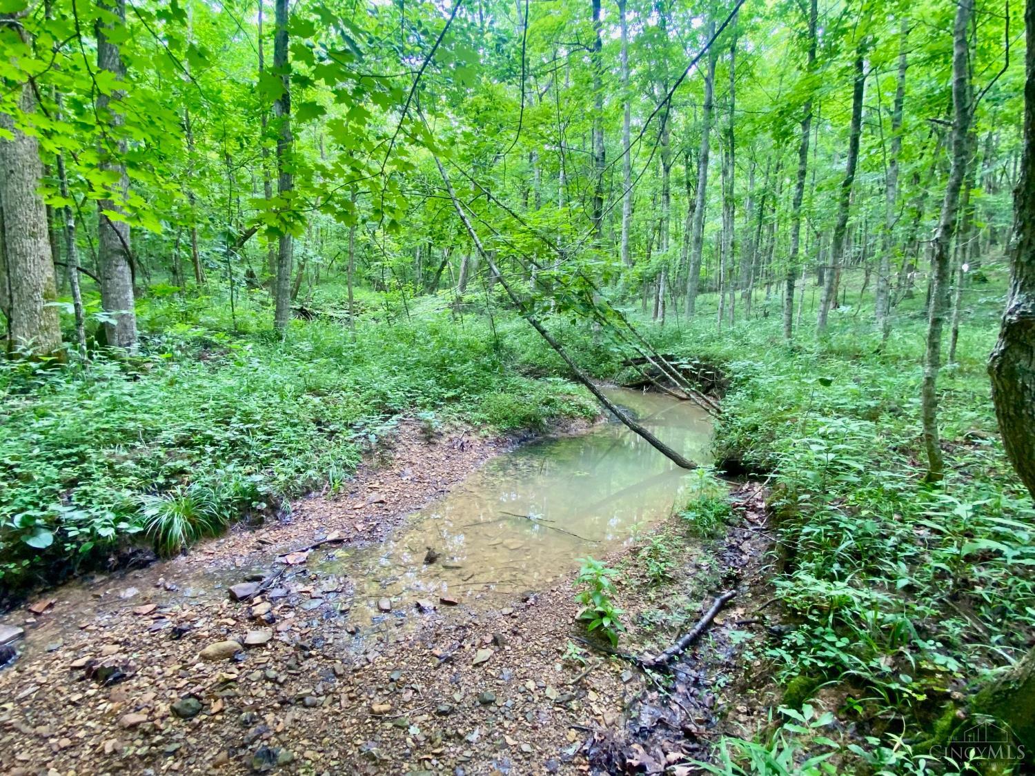 400 Lynn Morgan Road Property Photo 23